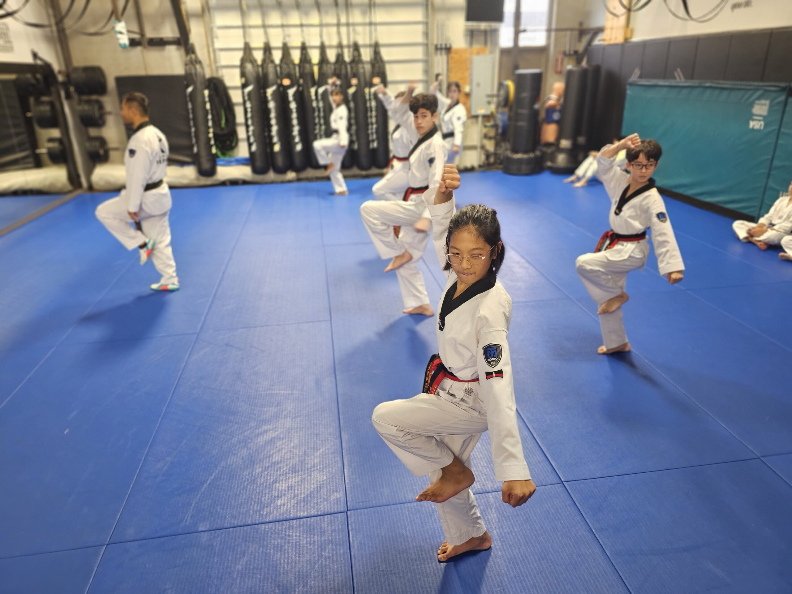 Kukkiwon Taekwondo Academy Programs image